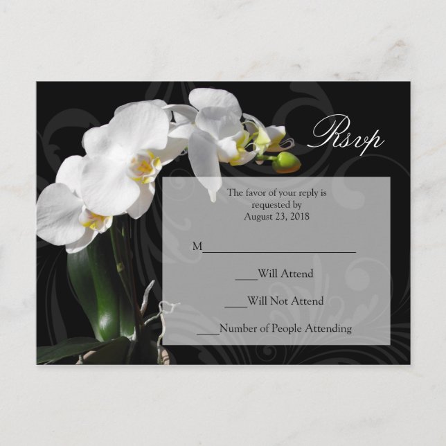 Dramatic Black and White Orchid RSVP Postcard (Front)