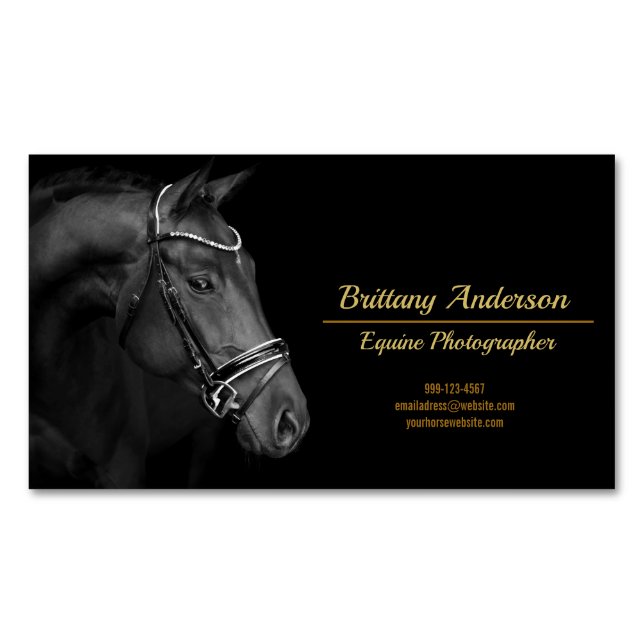 Dramatic Black White Gold Horse Photographer Business Card Magnet (Front)