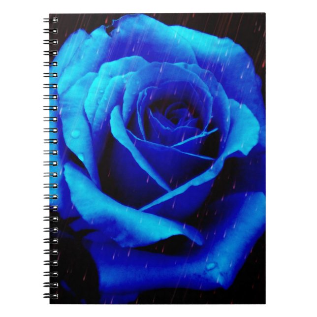 Dramatic Blue Rose Notebook (Front)