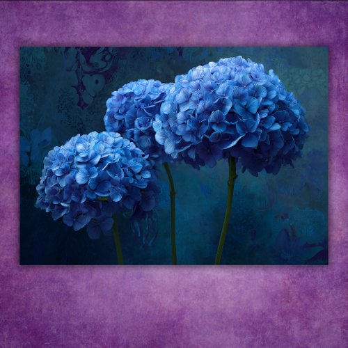 Dramatic Bold Blue Hydrangea Floral Botanical Poster