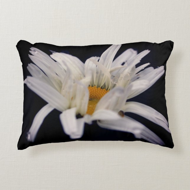 Dramatic Daisy Flower  Accent Pillow (Front)