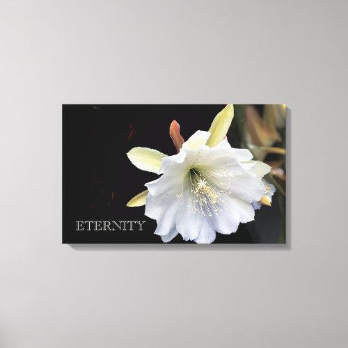 Dramatic eternity epiphyllum flower on canvas
