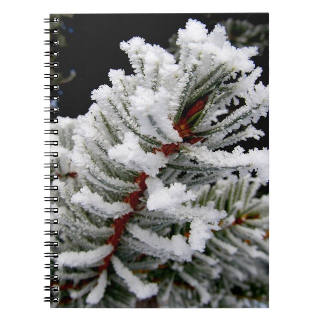 Dramatic Frosted Pine Branch Notebook (Front)