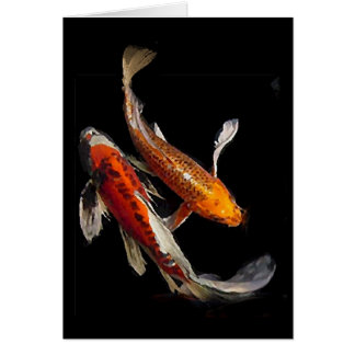 Dramatic Koi Pair with Japanese Proverb Cards