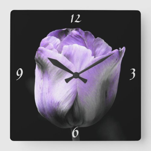 Dramatic Lavender Purple N Silver Tulip On Black Square Wall Clock