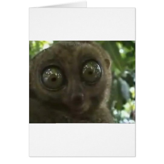 Dramatic Lemur Card