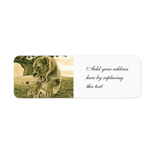 Dramatic Lioness Safari Wildlife Art Label (Front)