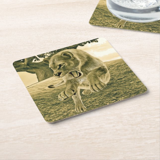 Dramatic Lioness Safari Wildlife Art Square Paper Coaster (Angled)