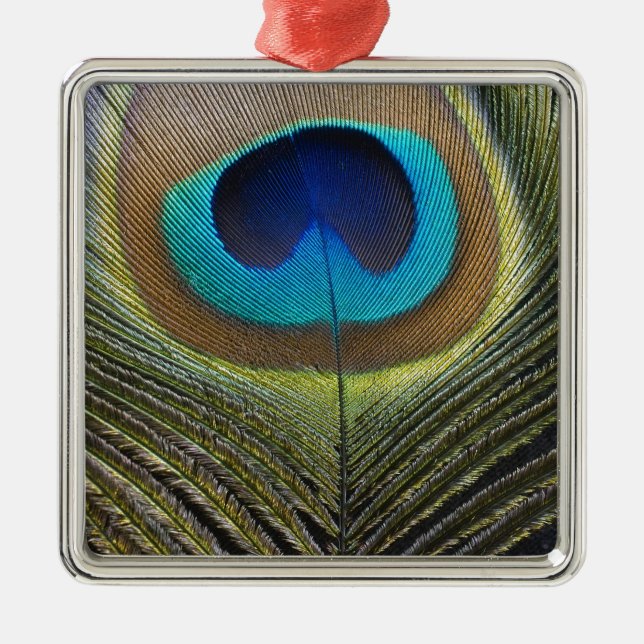 Dramatic Peacock Feather Metal Ornament (Front)