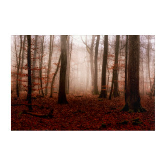 Dramatic red foggy winter snowless forest acrylic print