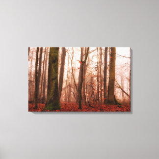 Dramatic red foggy winter snowless forest canvas print