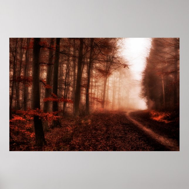 Dramatic red foggy winter snowless forest poster (Front)