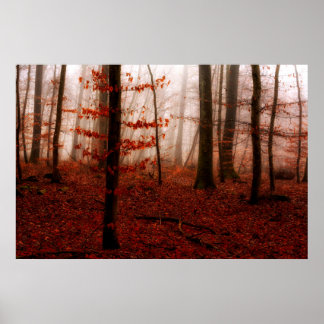 Dramatic red foggy winter snowless forest poster