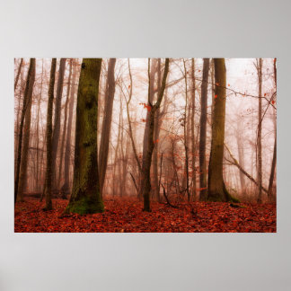 Dramatic red foggy winter snowless forest poster