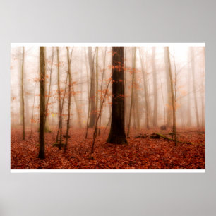 Dramatic red foggy winter snowless forest poster