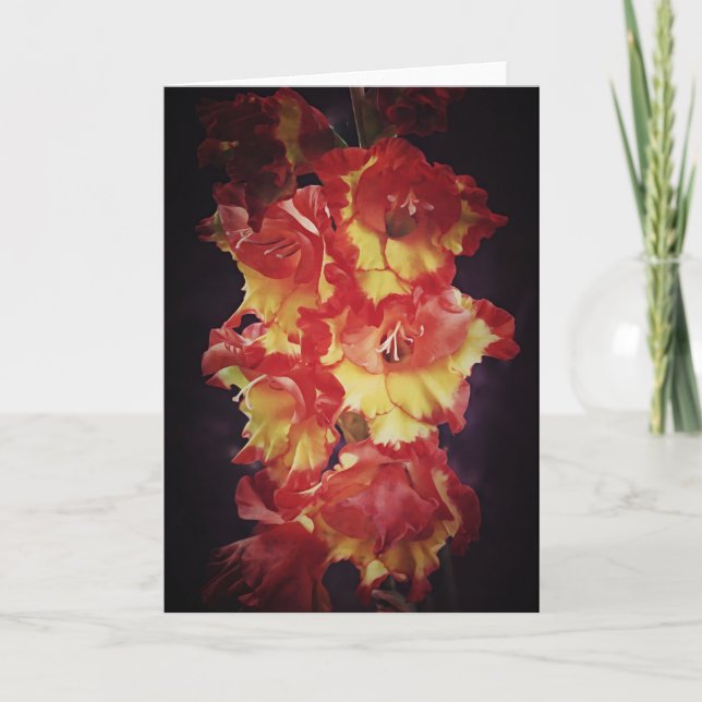 Dramatic Red Gold Gladiolus Flowers Art Note Card (Front)