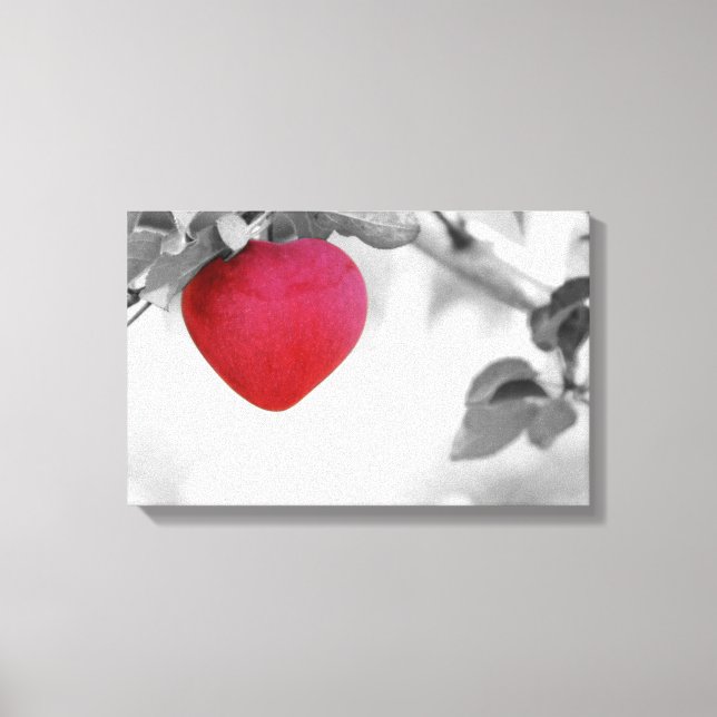 Dramatic Red Heart Shaped Apple Canvas Print (Front)
