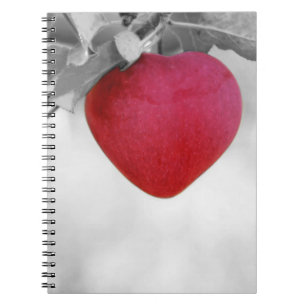 Dramatic Red Heart Shaped Apple Notebook