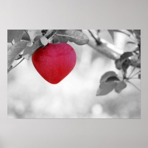 Dramatic Red Heart Shaped Apple Poster