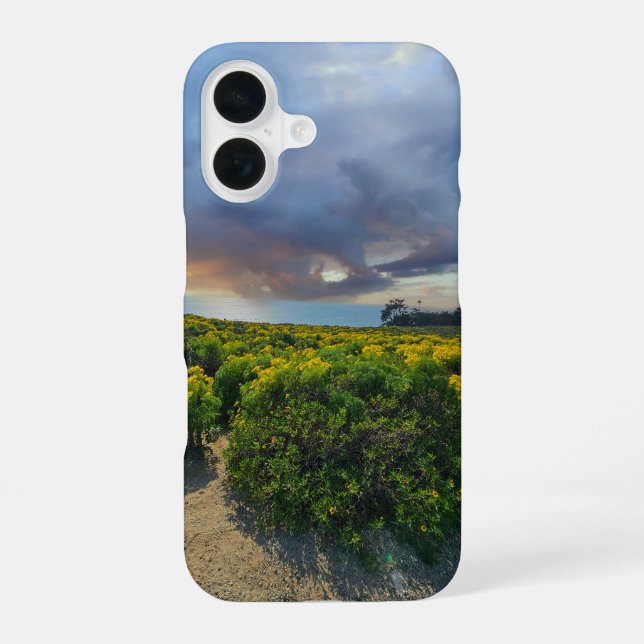 Dramatic Skies at Sunset at Point Dume iPhone Case (Back)