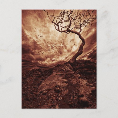 Dramatic Sky Over Old Lonely Tree Postcard