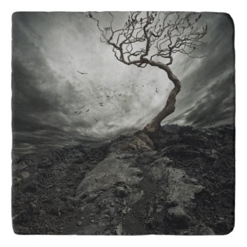 Dramatic sky over old lonely tree trivet