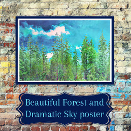 Dramatic Sky with Pine Tree Forest Photo Print