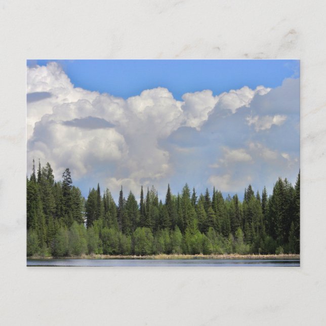 Dramatic Skys Marshall Lake Postcard (Front)