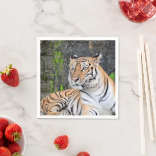 Dramatic Tiger Resting Portrait Napkins