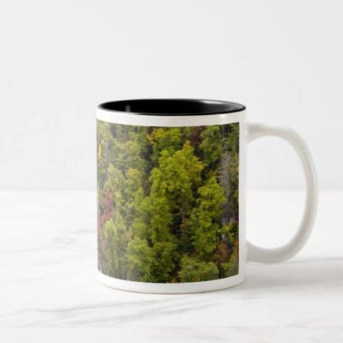 Dramatic Whitewater Falls in autumn in the Two_Tone Coffee Mug