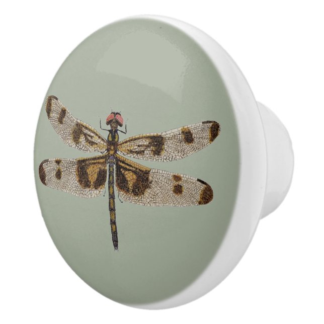 Drawer Pull Dragonfly (Right)