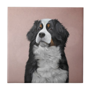 Drawing Bernese Mountain Dog Ceramic Tile