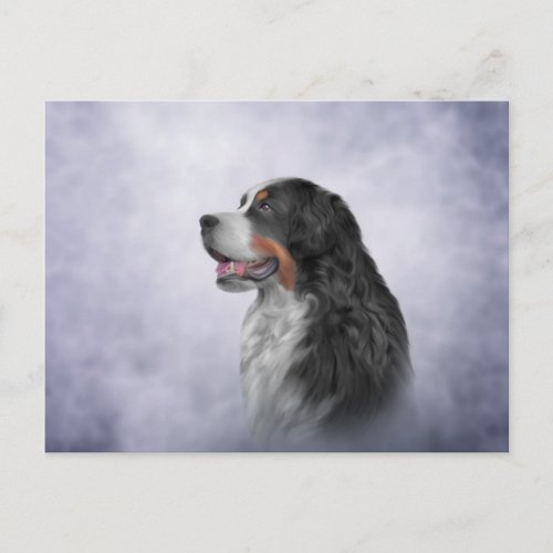 Drawing Bernese Mountain Dog Postcard