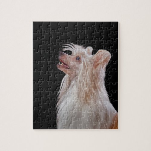 Drawing Chinese crested dog Jigsaw Puzzle