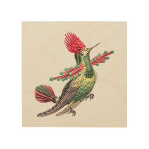Drawing Colorful Hummingbird Wood Wall Art