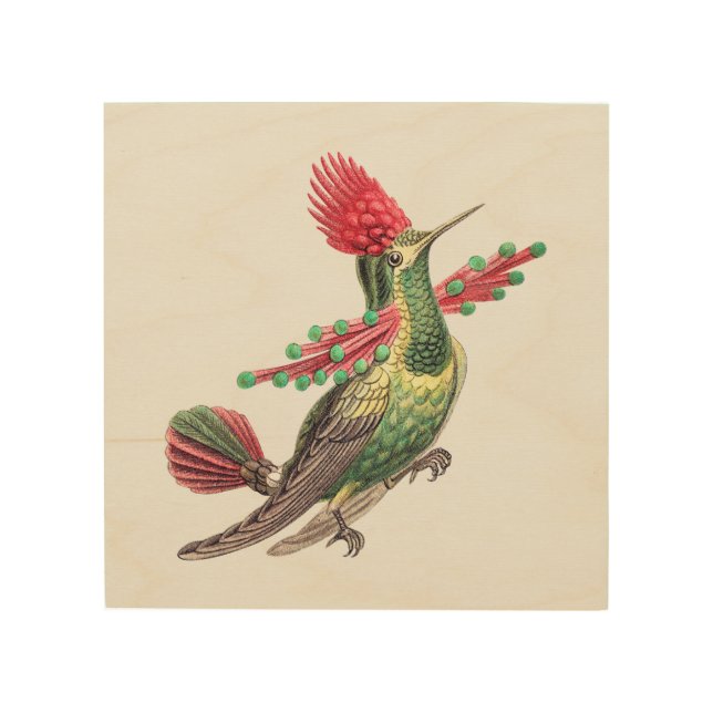 Drawing Colorful Hummingbird Wood Wall Art (Front)