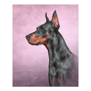 Drawing Doberman dog Photo Print