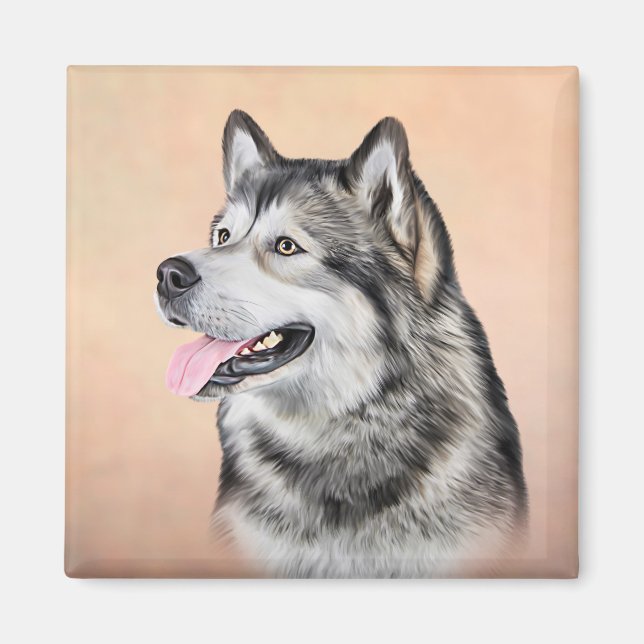 Drawing Dog Alaskan Malamute 2 Magnet (Front)