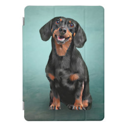 Drawing Dog breed dachshund iPad Pro Cover