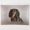 Drawing Dog breed dachshund