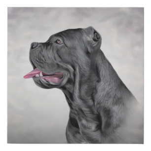 Drawing dog Cane Corso - Italian Mastiff 12 Faux Canvas Print