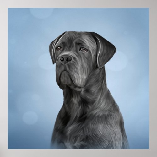 Drawing dog Cane Corso _ Italian Mastiff Poster