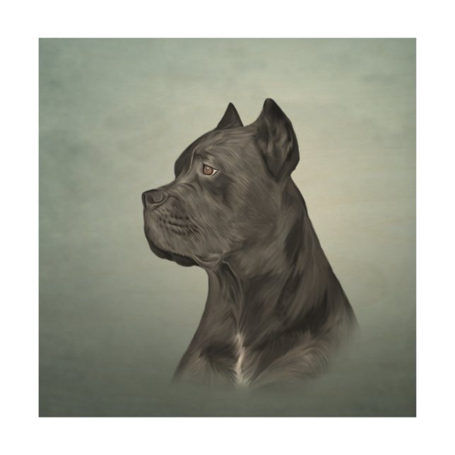 Drawing dog Cane Corso - Italian Mastiff Wood Wall Art (Front)