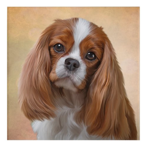 Drawing Dog Cavalier King Charles Spaniel Acrylic Print