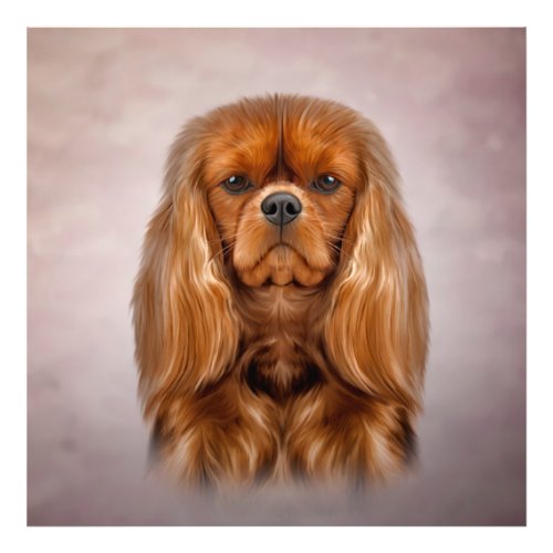 Drawing Dog Cavalier King Charles Spaniel Photo Print