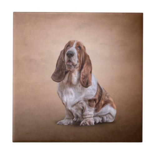 Drawing funny Basset Hound dog Ceramic Tile
