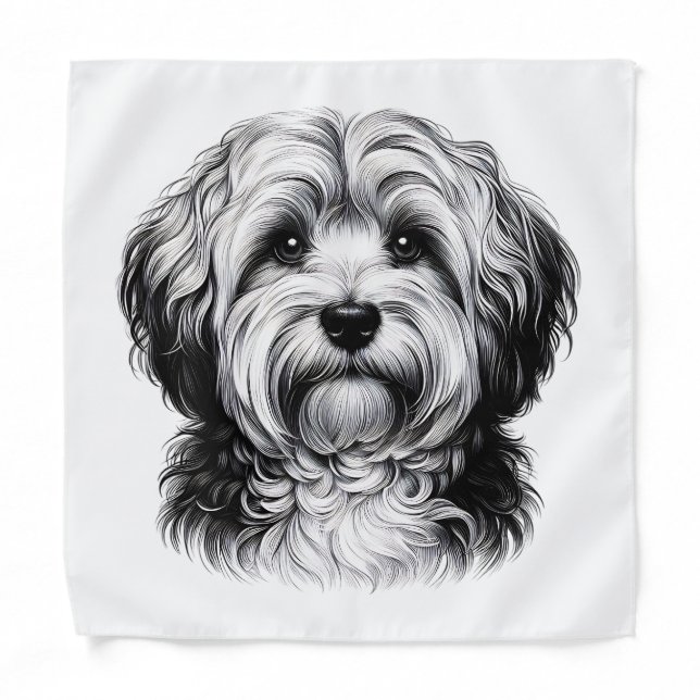 Drawing Havanese Dog Bandana (Front)