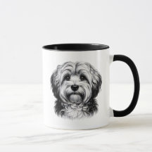 Drawing Havanese Dog