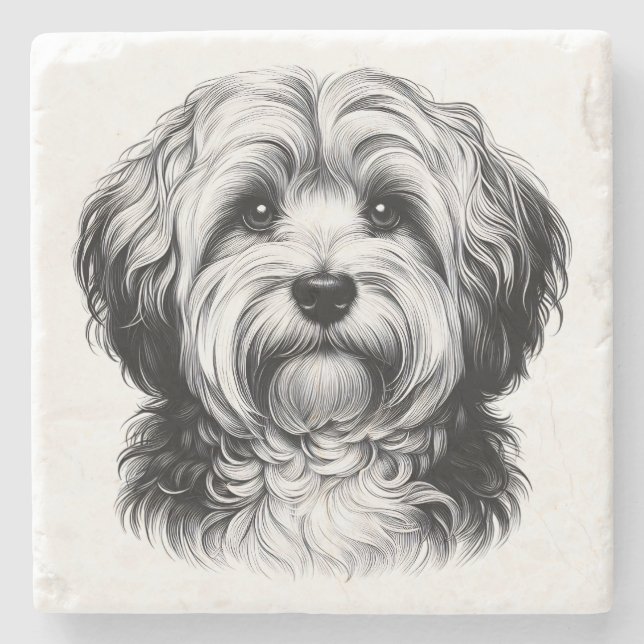 Drawing Havanese Dog Stone Coaster (Front)