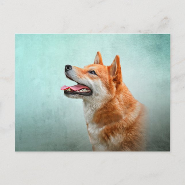 Drawing Japanese Shiba Inu dog Postcard (Front)
